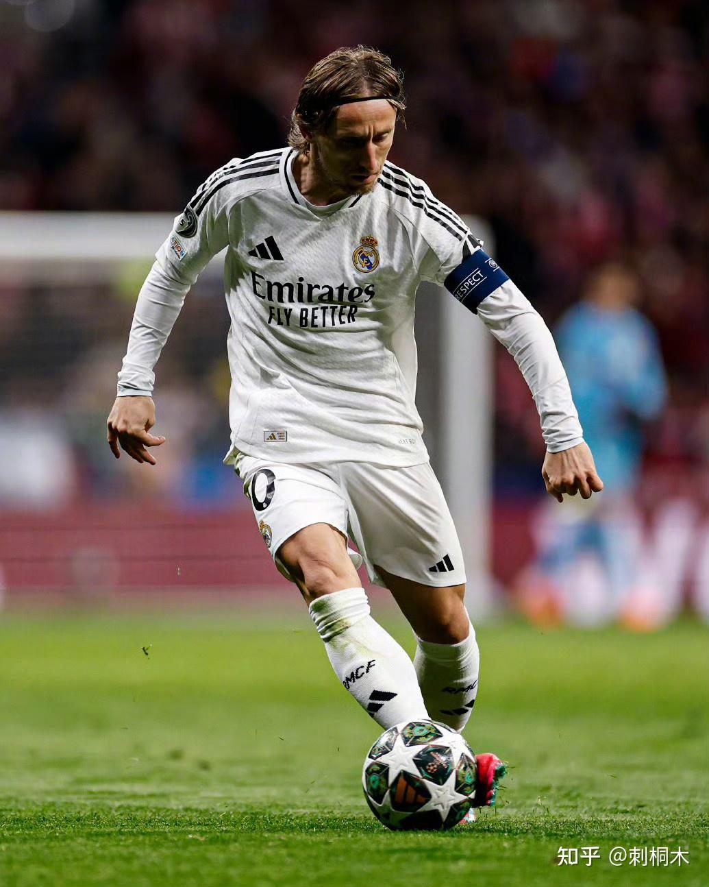 官方公示！澳大利亚籍外教迈克尔·凯利出任深圳男篮新帅